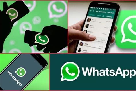 whatsapp-coktu-mu-2024