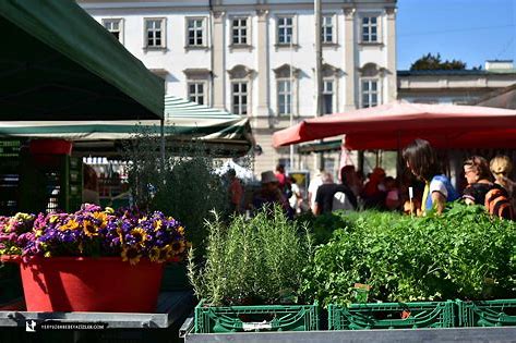avusturya-da-gezilecek-en-iyi-yerler-ve-aktiviteler